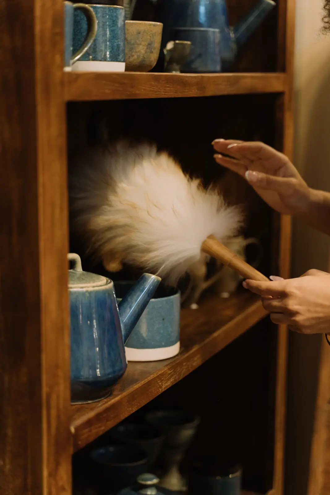 A feather duster on a wooden bookcase